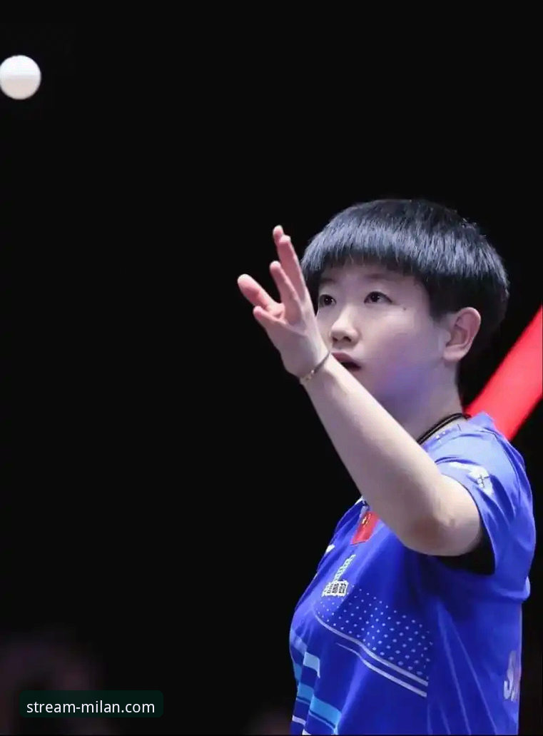 米兰体育直播入口常见问题 3个关键回合,带你复盘孙颖莎新加坡大满贯首轮晋级之路